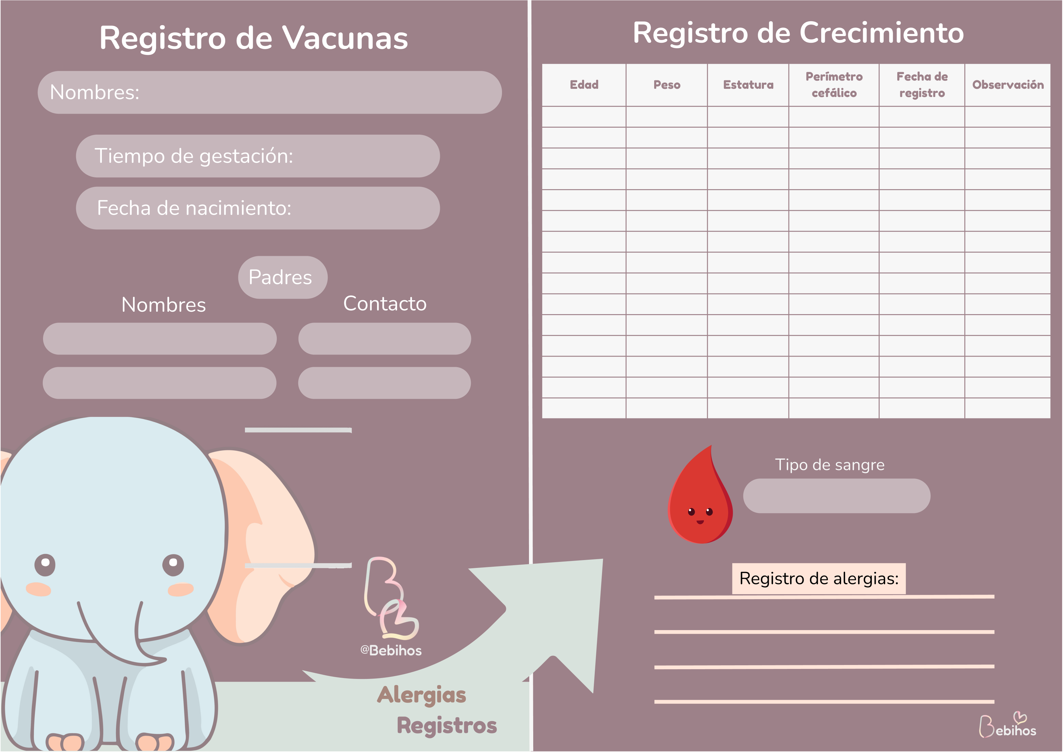 Tarjeta vacuna bebihos