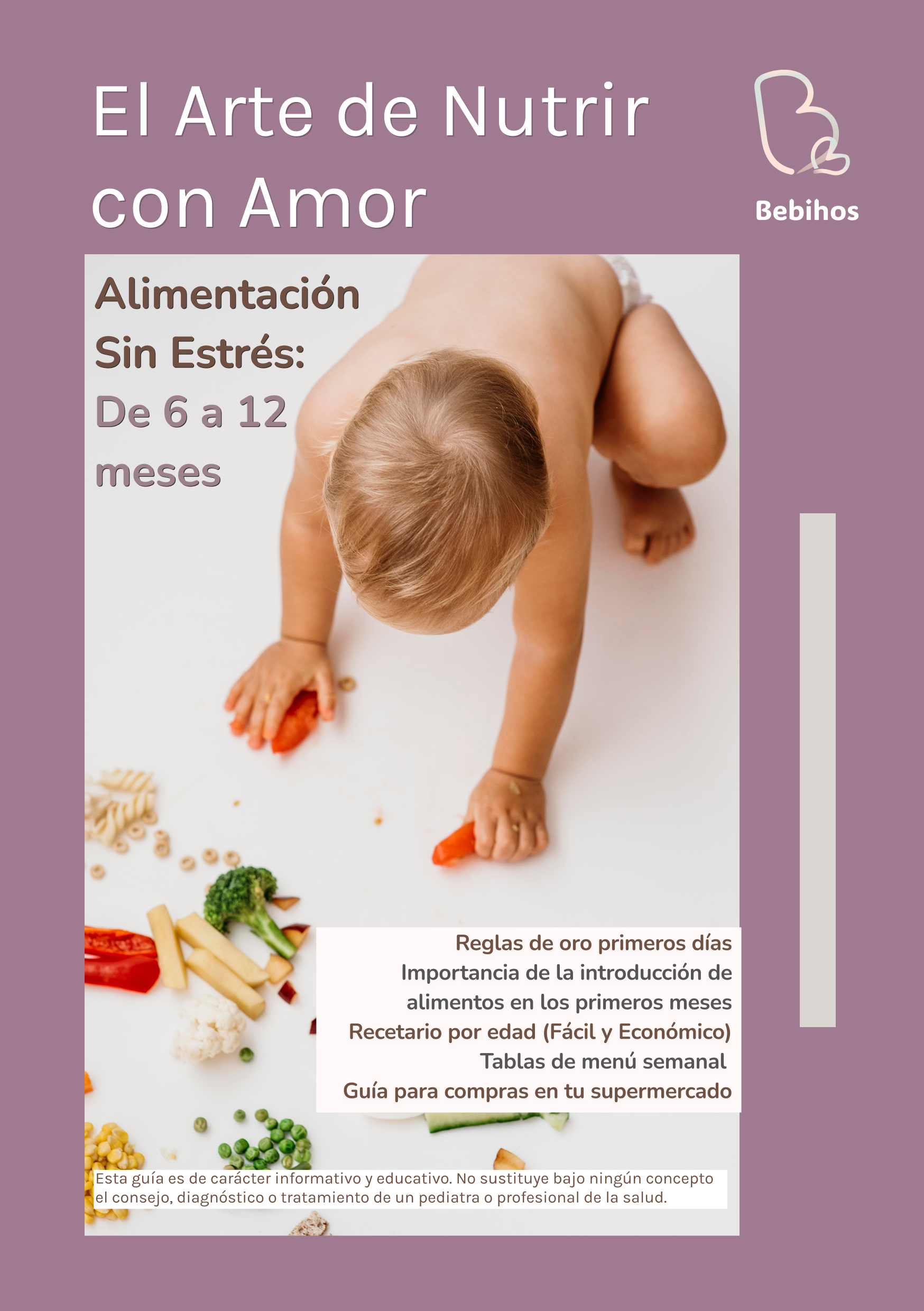 Guía de Alimentación Bebihos